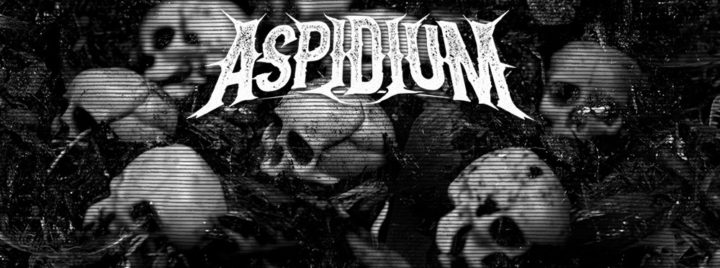 Aspidium