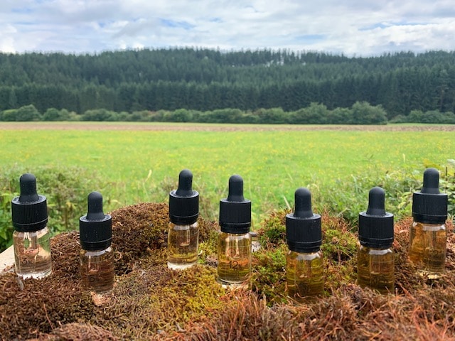 Hilft CBD bei Übergewicht, dem Herzen und den Gelenken?