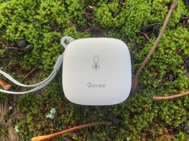 Govee WLAN Thermometer Hygrometer